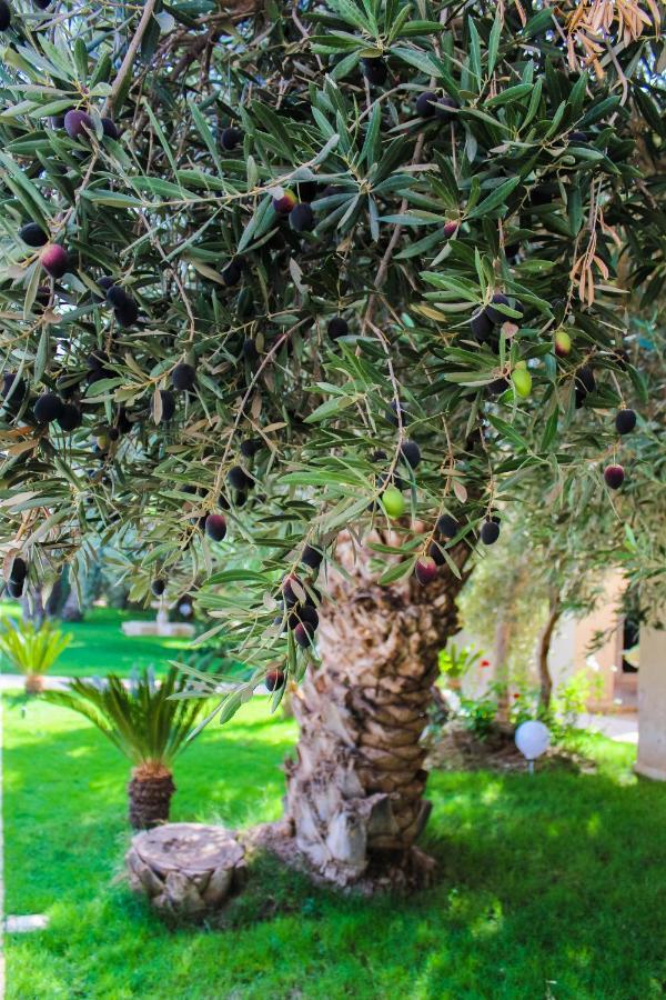 Riad Le Jasmin Taroudant Eksteriør bilde