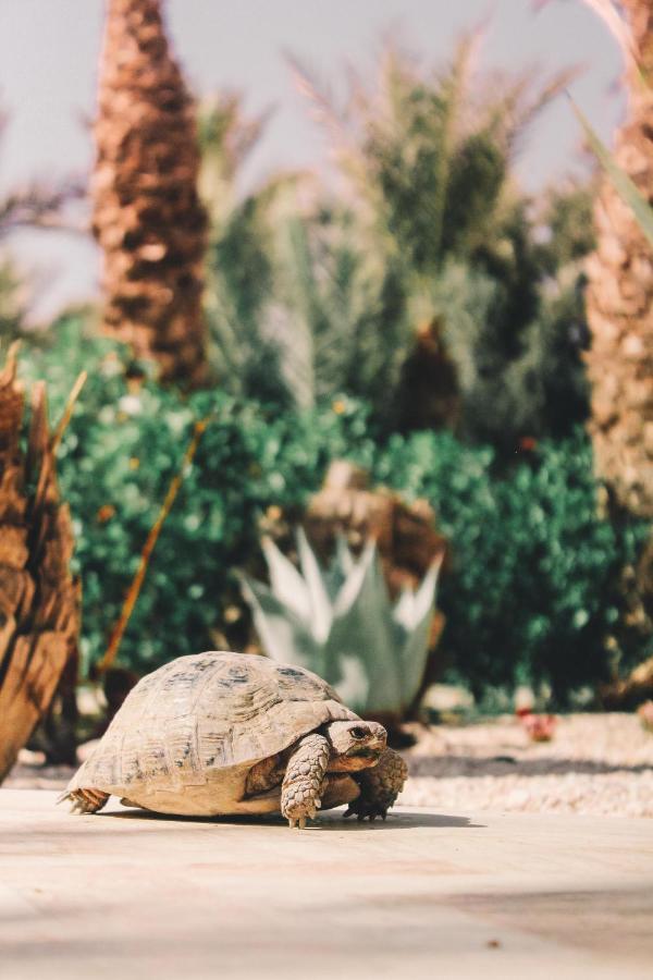 Riad Le Jasmin Taroudant Eksteriør bilde