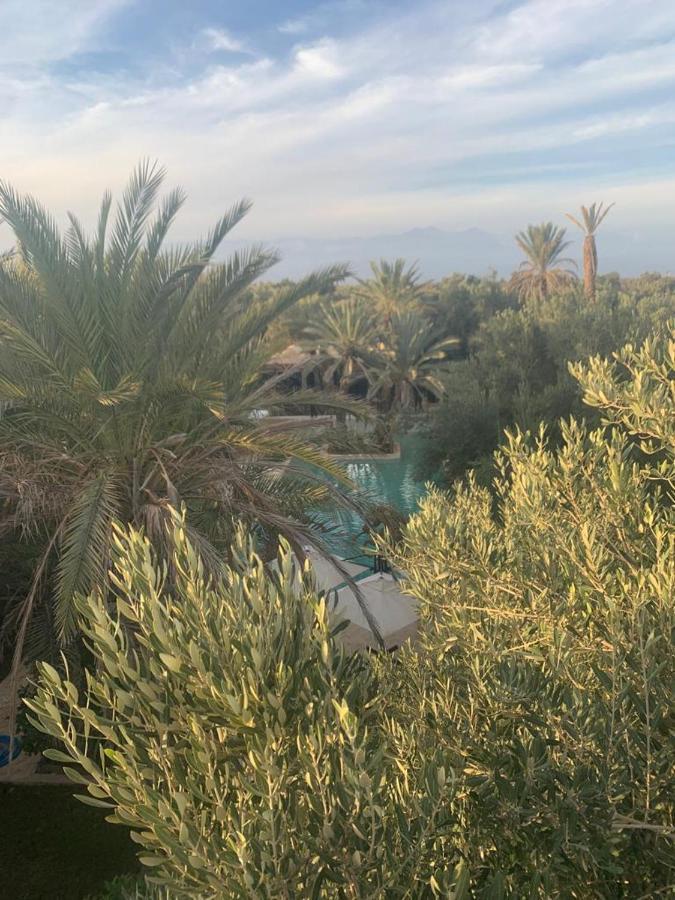 Riad Le Jasmin Taroudant Eksteriør bilde