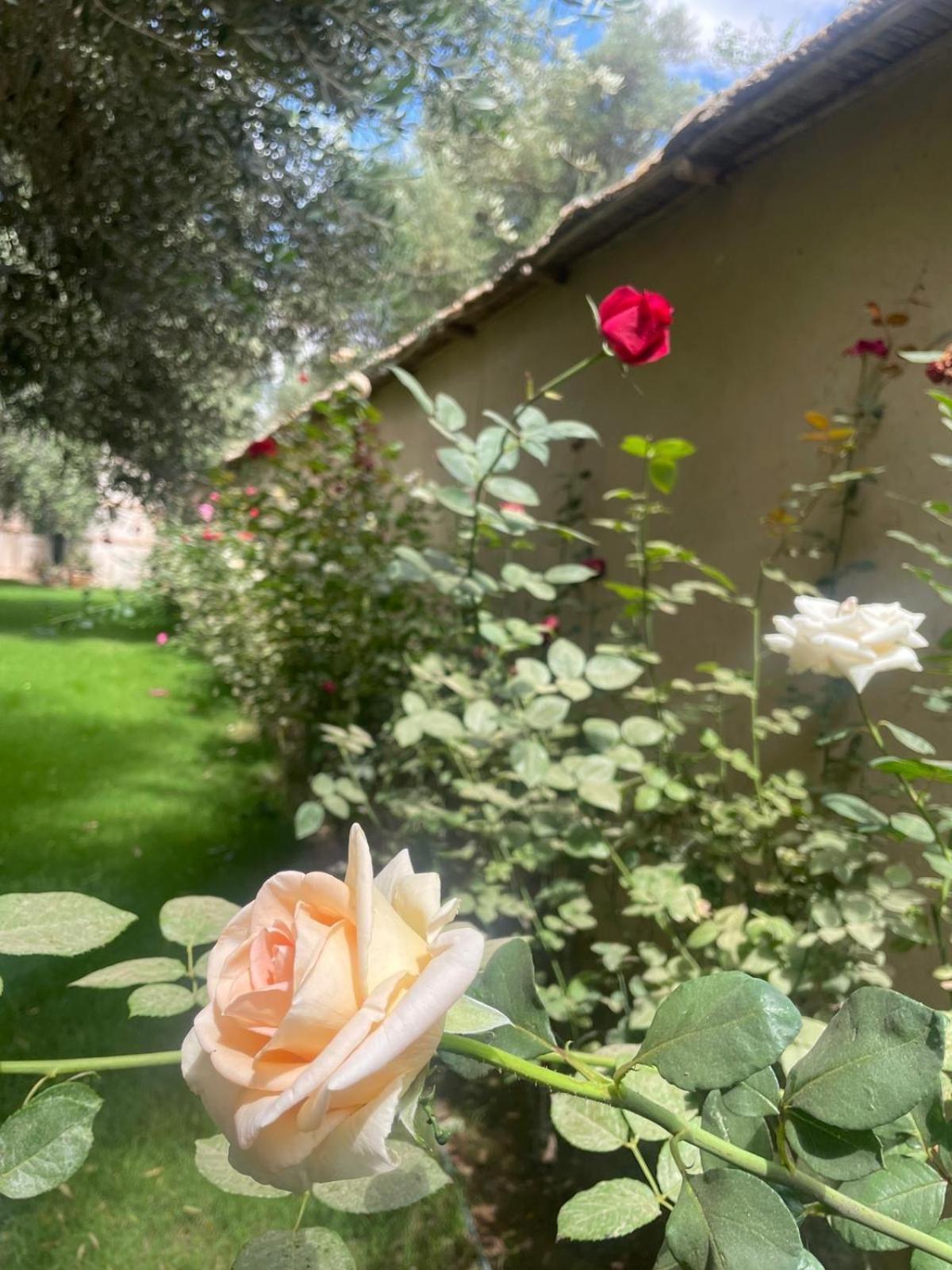 Riad Le Jasmin Taroudant Eksteriør bilde