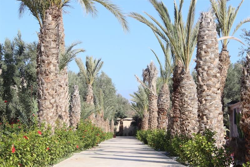 Riad Le Jasmin Taroudant Eksteriør bilde